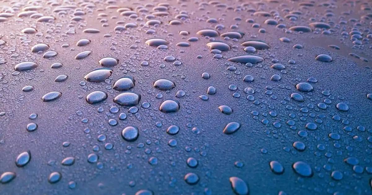 Dekorasyon ve Mobilya Uyumuyla Estetik Blender Shake Çözümleri