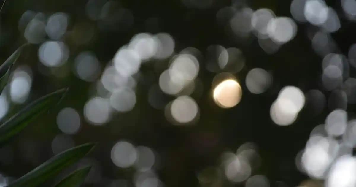 Dekorasyon ve Mobilyada Süsleme: Estetik ve Fonksiyonel Ornamenti Kullanımı