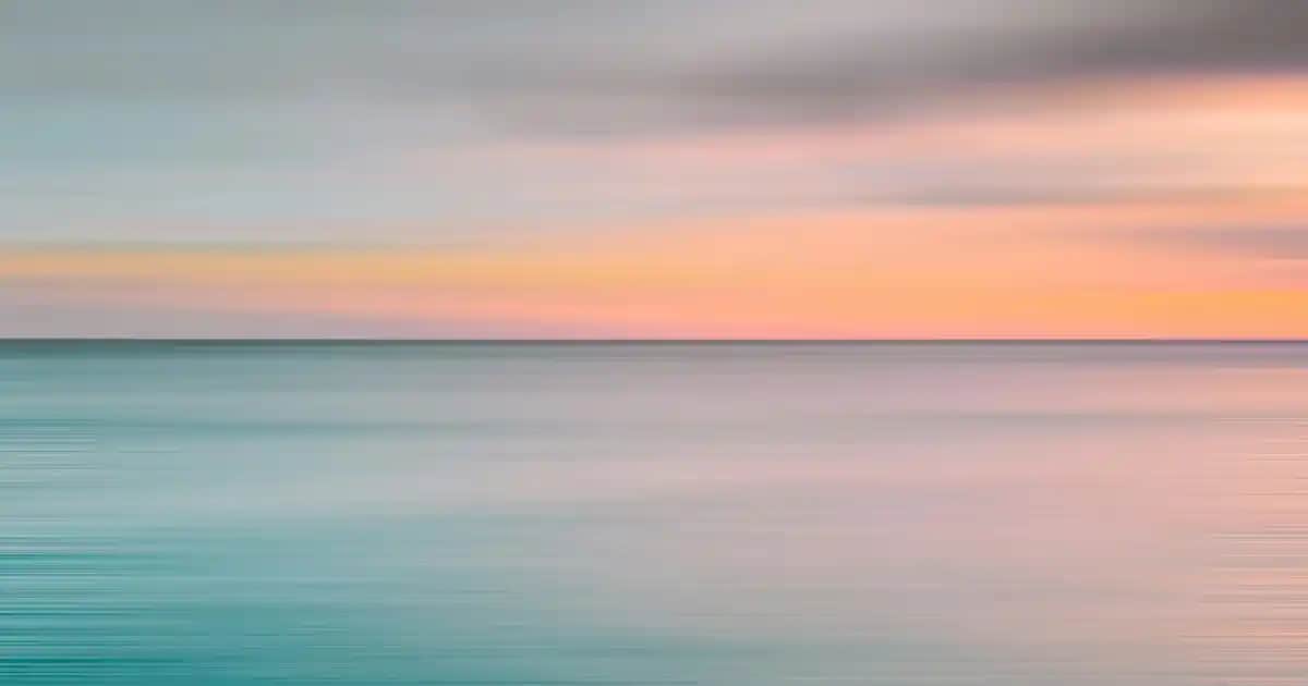 Dekorasyonda Şıklık ve Zarafet İçin Gold Kek Desteği Kullanım Rehberi