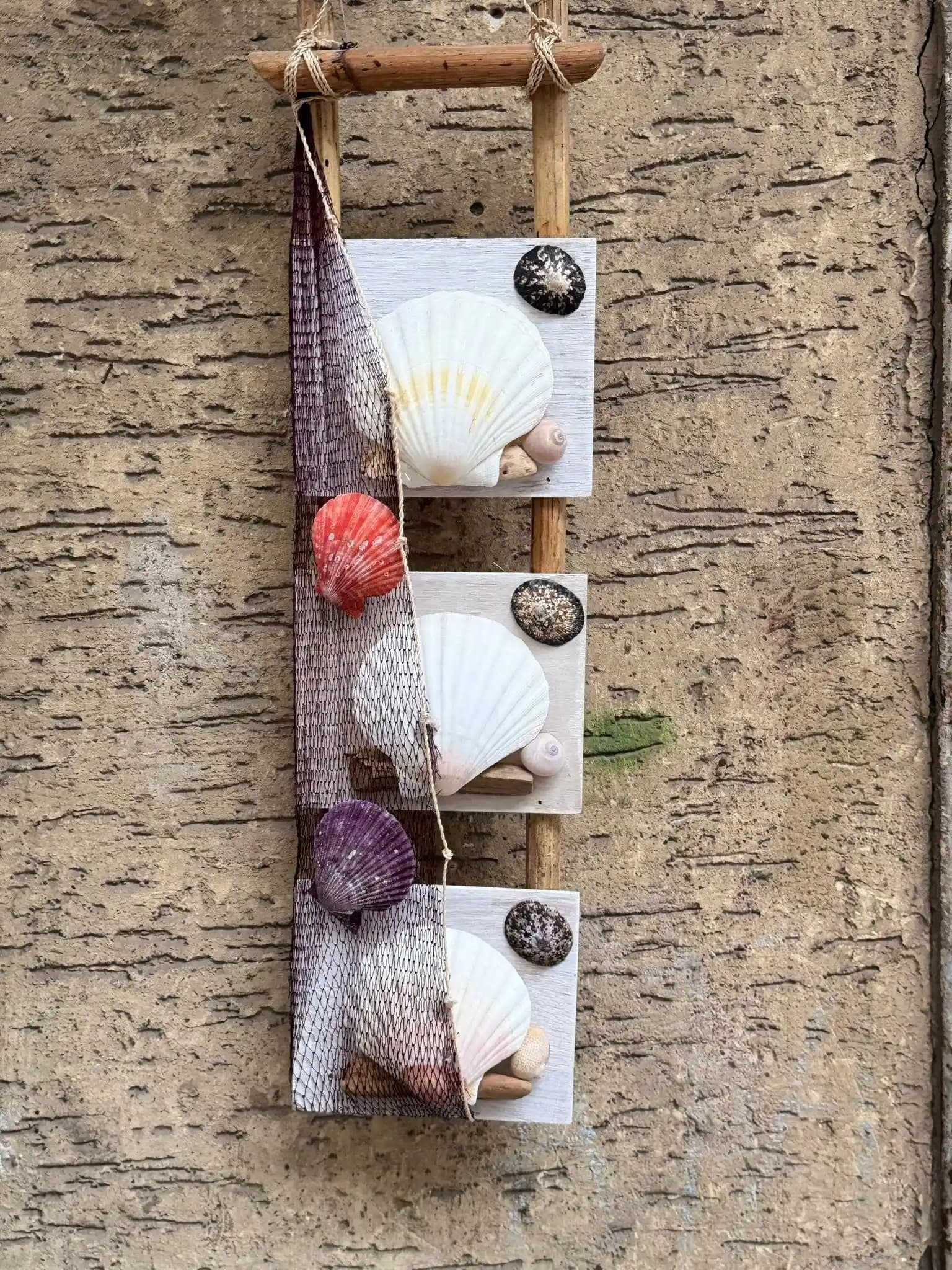 Deniz Kabuklu Duvar Süsleri ile Evinize Doğal ve Şık Deniz Esintisi Katın