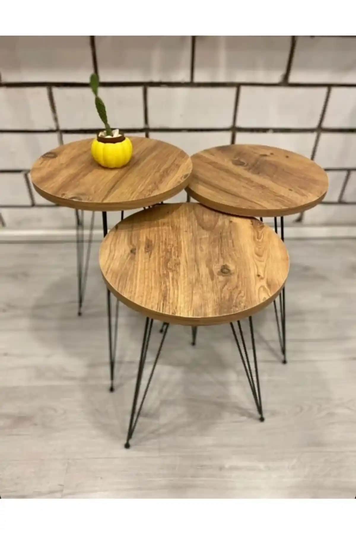 Doğadan İlham Alan Cay Temasıyla Modern ve Sakin Dekorasyon Önerileri