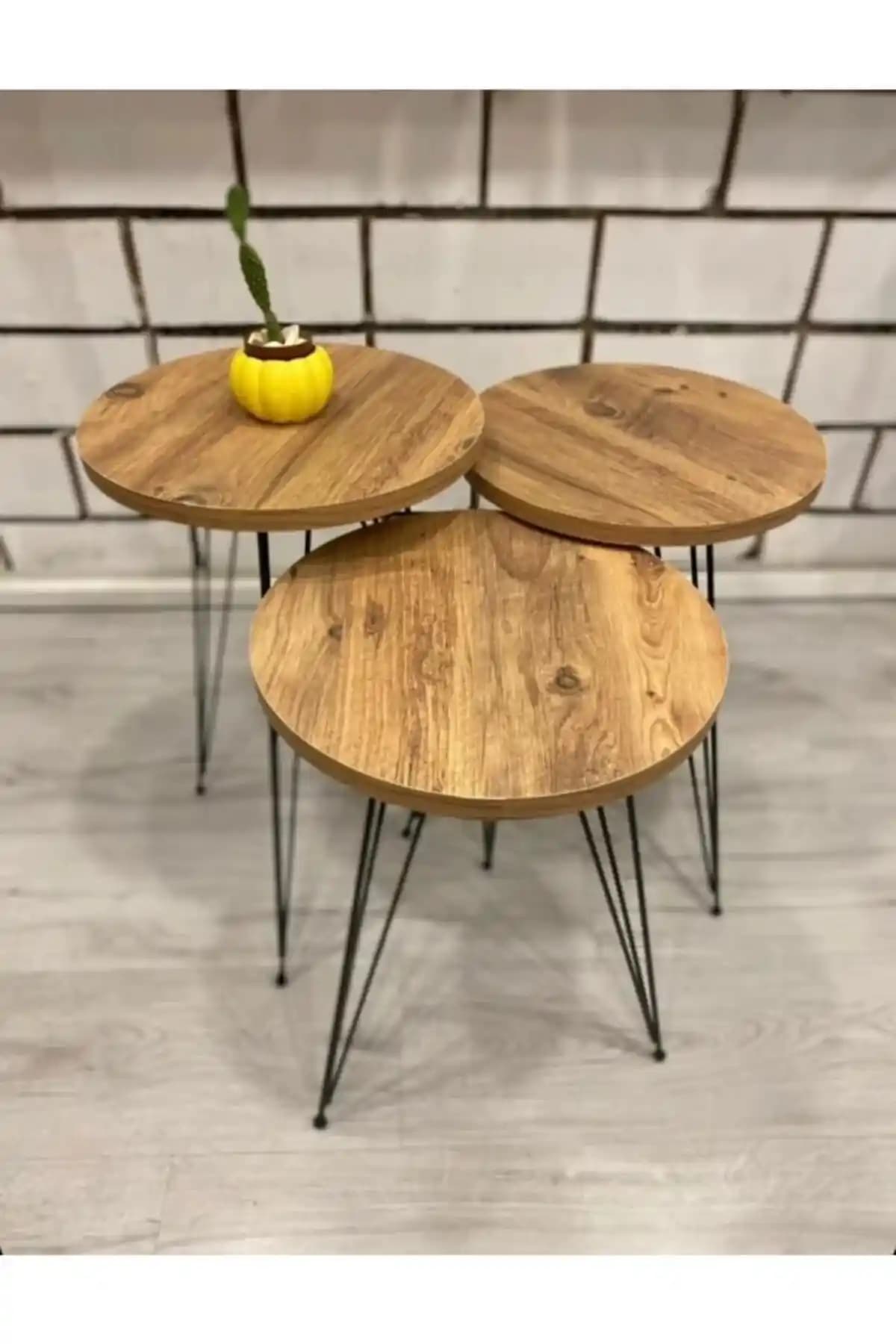 Doğadan İlham Alan Cay Temasıyla Modern ve Sakin Dekorasyon Önerileri