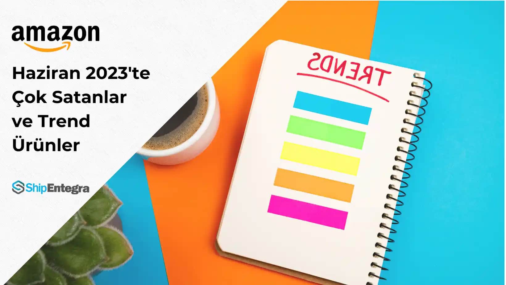 En Çok Satan Plastik Ürünler ve Dekorasyonda Kullanım Alanları