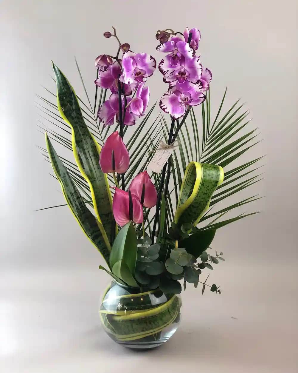 En Güzel Orkide Çeşitleri ve Dekorasyonda Kullanım İpuçları