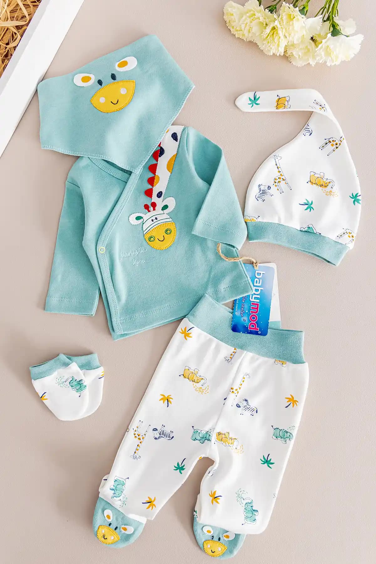 Erkek Bebek Hastane Çıkışı İçin Dekorasyon ve Mobilya Trendleri ve İpuçları