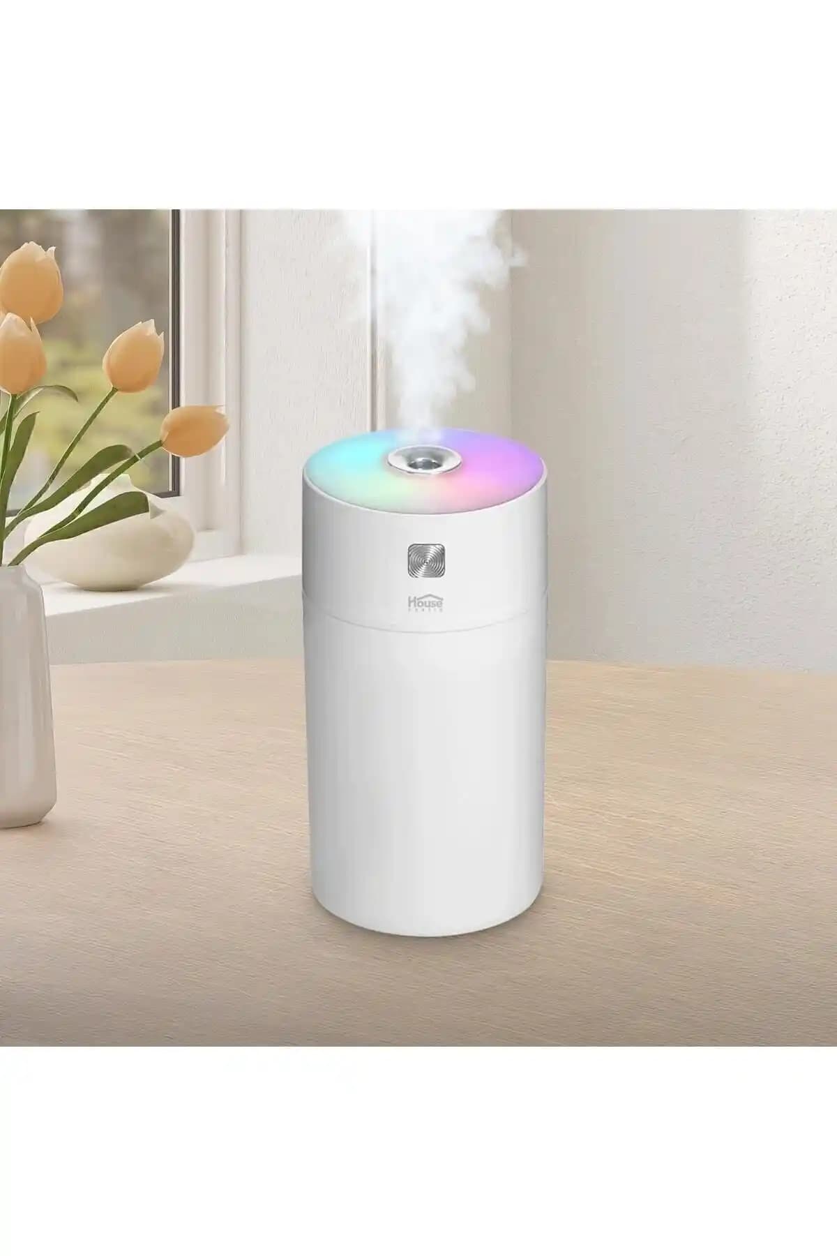 Evde Hava Nemlendirici Seçiminde Dekorasyon ve Mobilya Uyumunun Önemi