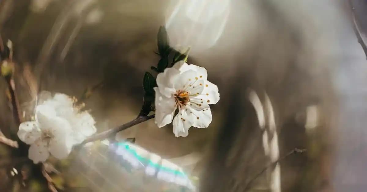 Evlilik Paketi Mutfak Dekorasyon Trendleri ve Fonksiyonel Çözümler