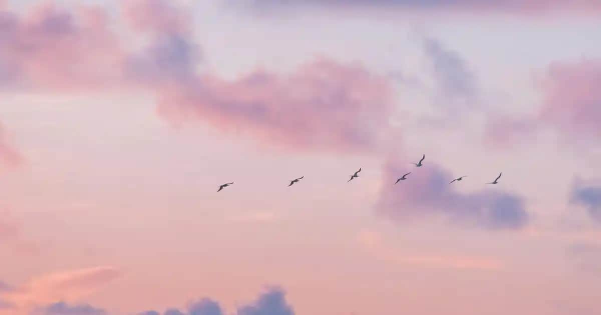 Fosforlu Bileklikler ile Mekanlara Parlak ve Dinamik Dekorasyon Dokunuşları