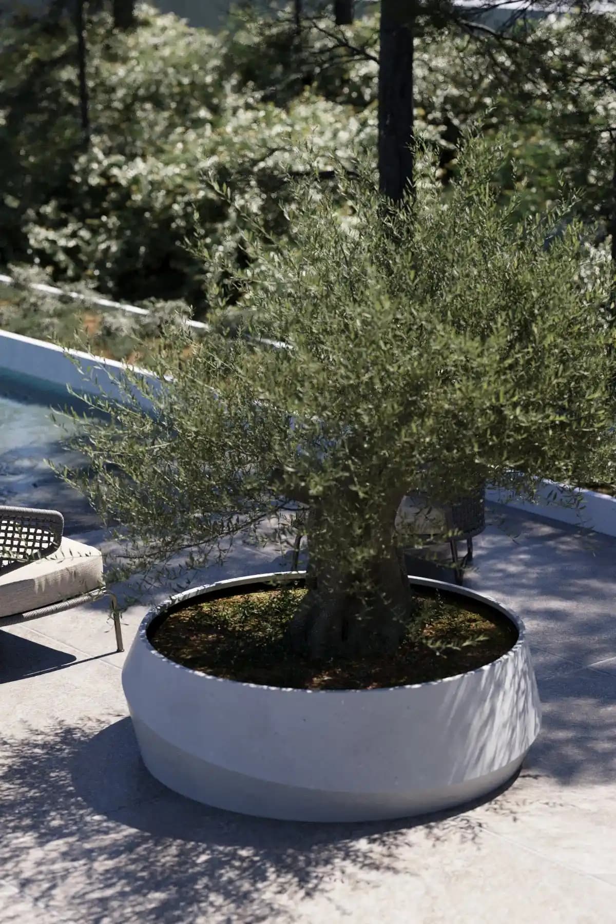 Geniş Saksılarla Dekorasyonunuzu Yenileyin ve Mekânınıza Şıklık Katın