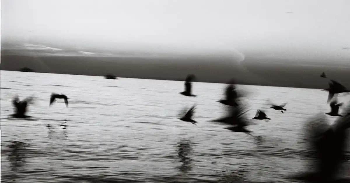 Güral Porselen Salata Kasesi: Estetik ve Dayanıklılığı Bir Arada Sunan Modeller