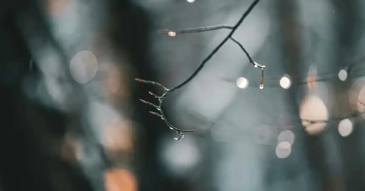 Hasır Görünümünde Halı: Doğal ve Şık Dekorasyon İçin En İyi Seçenekler