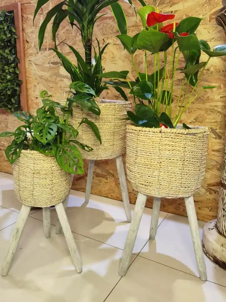 Hasır Saksı Modelleri ile Doğal ve Şık Dekorasyon Çözümleri