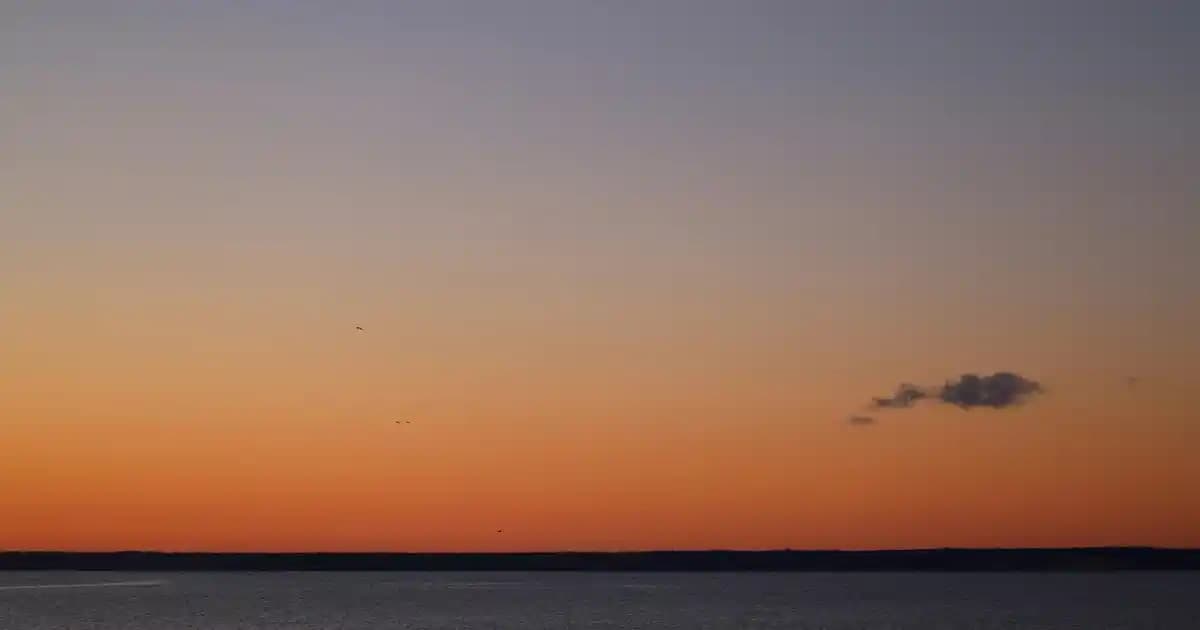 Hasır Sepet Malzemeleri: Doğal ve Şık Dekorasyon İçin Kullanım ve Avantajlar