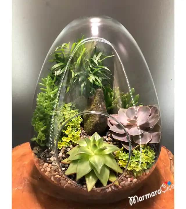 İç Mekan Dekorasyonunda Canlı Teraryumlar ile Doğayı Yansıtan Şık Çözümler