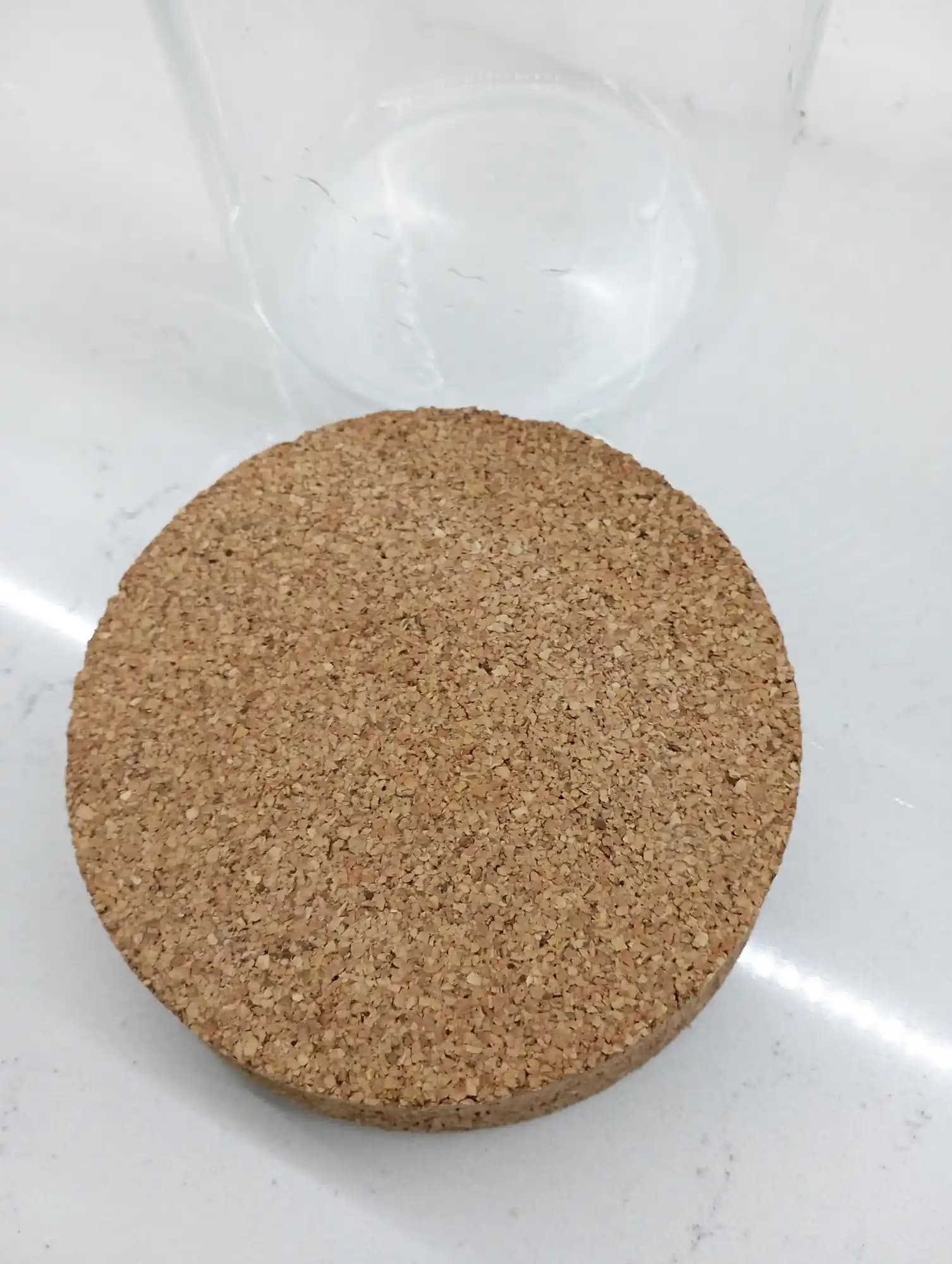 IKEA Mantar Kapaklar: Doğal, Şık ve Çok Amaçlı Dekoratif Çözümler