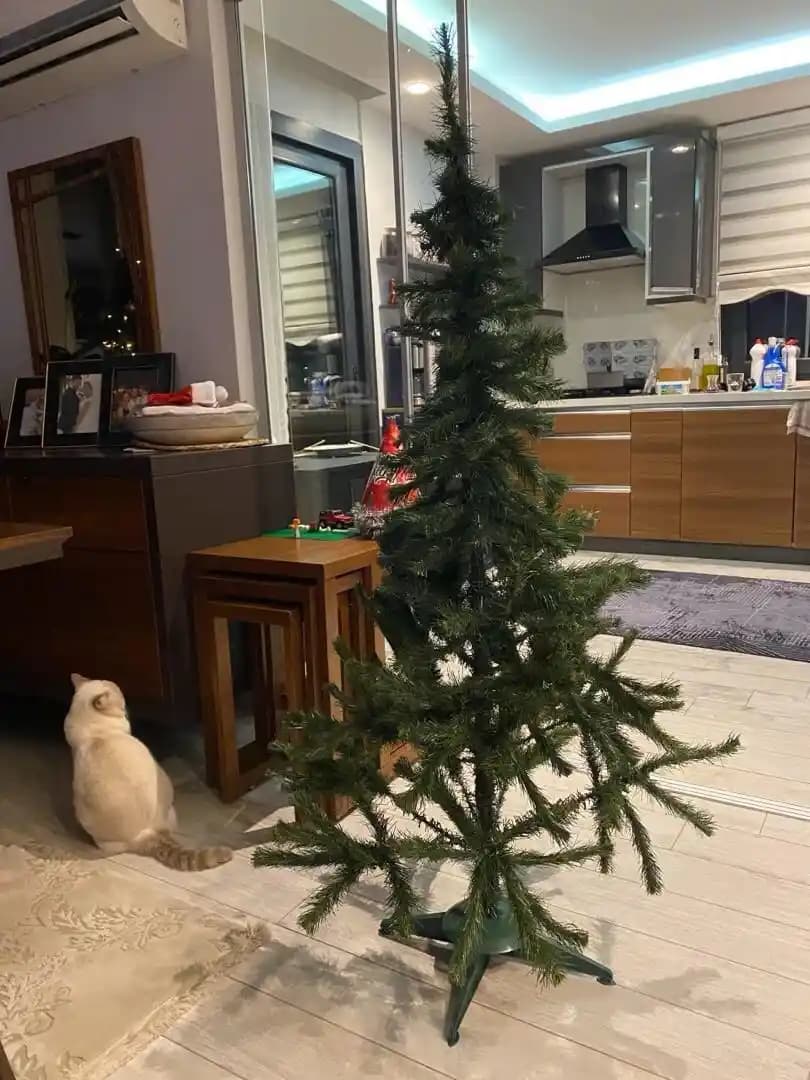 İkinci El Yılbaşı Ağacı ile Ekonomik ve Sürdürülebilir Dekorasyon Seçenekleri