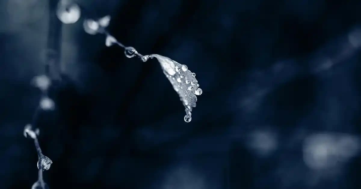 İngiliz Tarzı Ev Dekorasyonunda Meşrubatlıkların Rolü ve Stil İpuçları