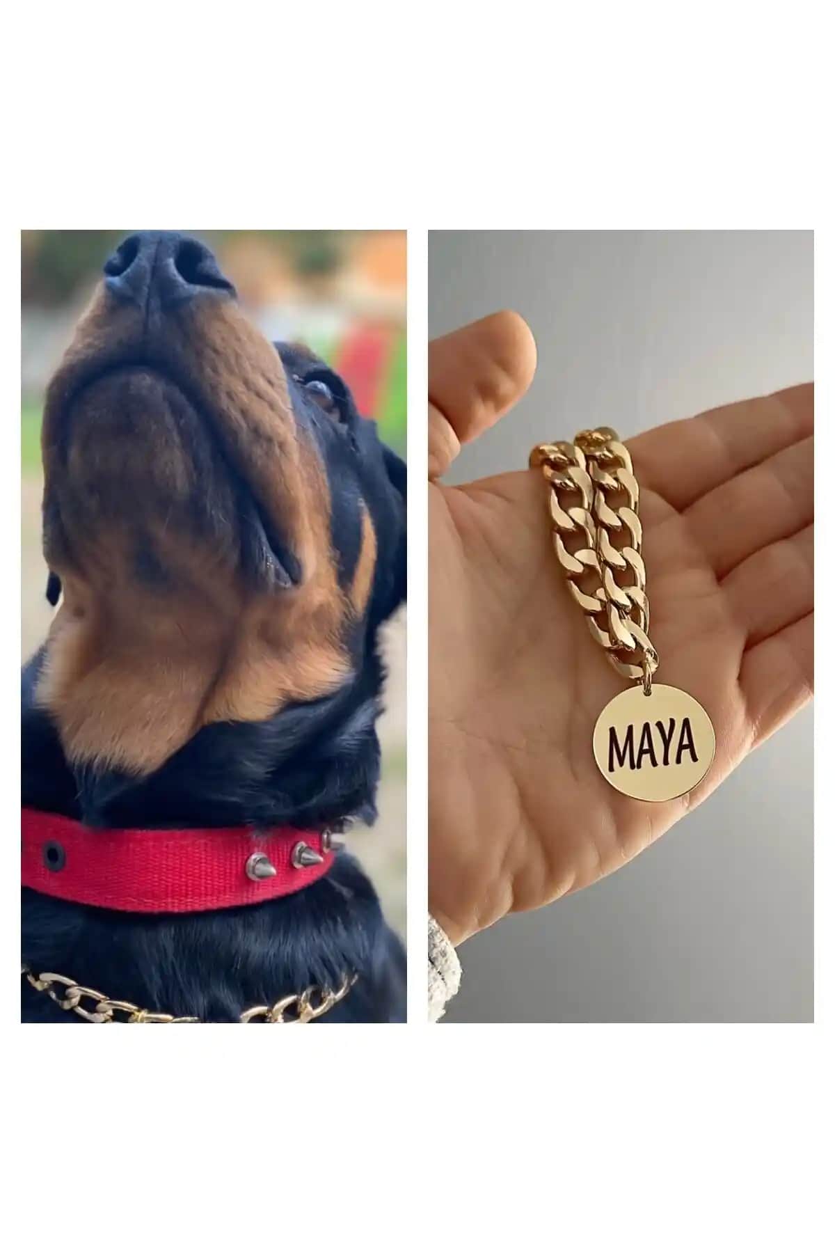 İsimli Köpek Tasması Seçenekleri ve Güvenlik ile Şıklık Sağlayan Modeller