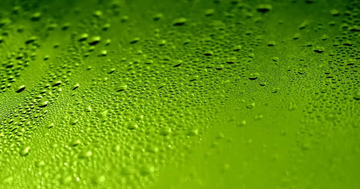 İsimli Mutfak Saatleri ile Mutfağınıza Kişisel ve Şık Dokunuşlar Katın