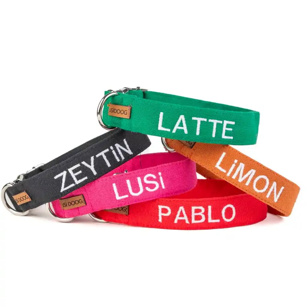 İsimli Tasma Kullanım Alanları ve Dekorasyonda Yaratıcı Fikirler