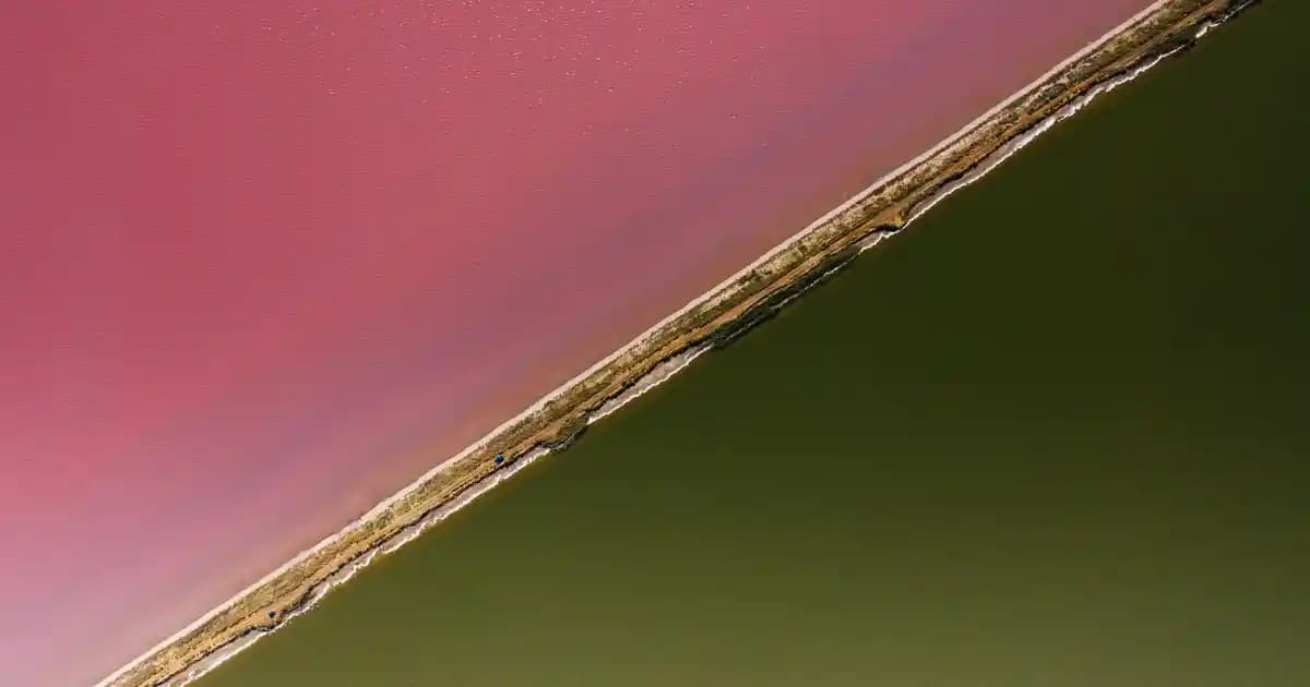 İsme Özel Cüzdanlar ile Dekorasyonda Şıklık ve Fonksiyonellik Bir Arada