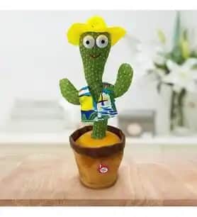 Kaktüs Dekorasyonunda Modern ve Şık Dokunuşlar: İç ve Dış Mekanlar İçin İpuçları