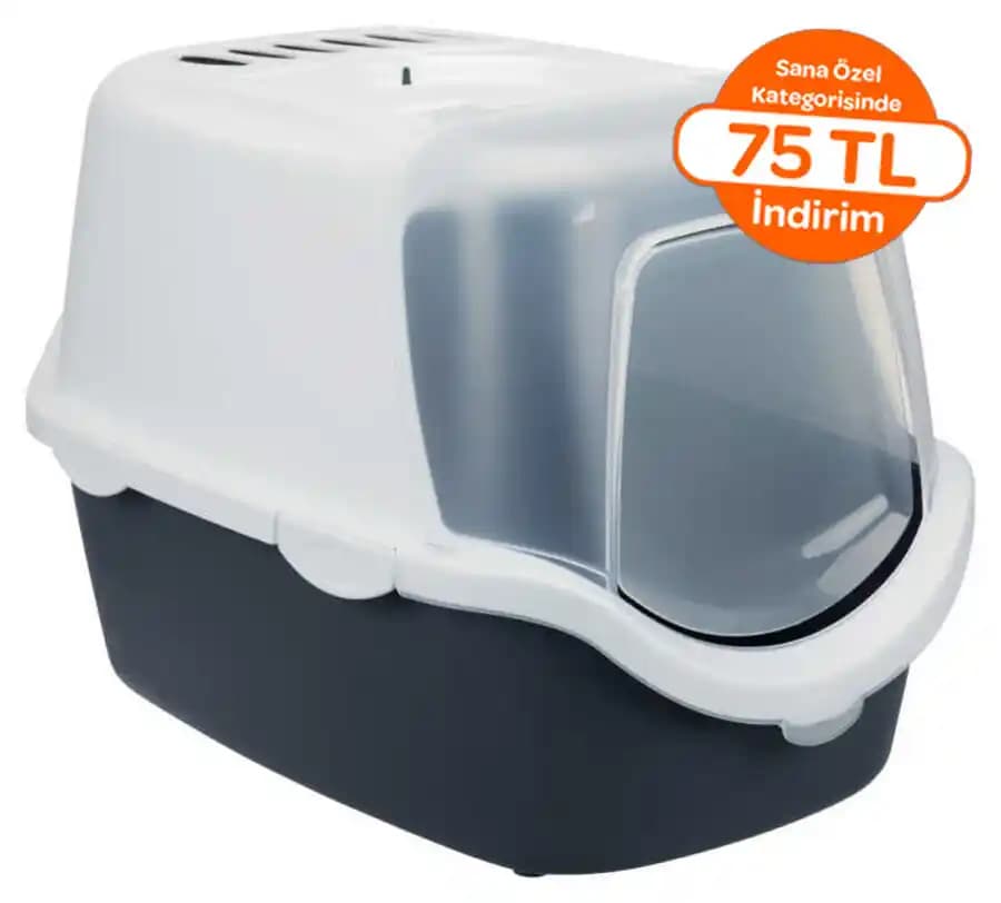 Kapalı Tuvalet Kabı Seçenekleri ve Modern Banyo Dekorasyonunda Kullanım İpuçları