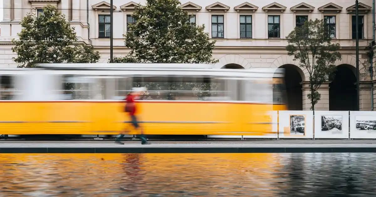 Karaca Kek Fanusu ile Dekorasyonda Estetik ve İşlevselliği Bir Arada Sağlayın