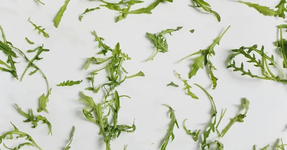 Karaca Proofcut 6 Parça Siyah Bıçak Seti ile Mutfakta Şıklık ve İşlevsellik Artırın