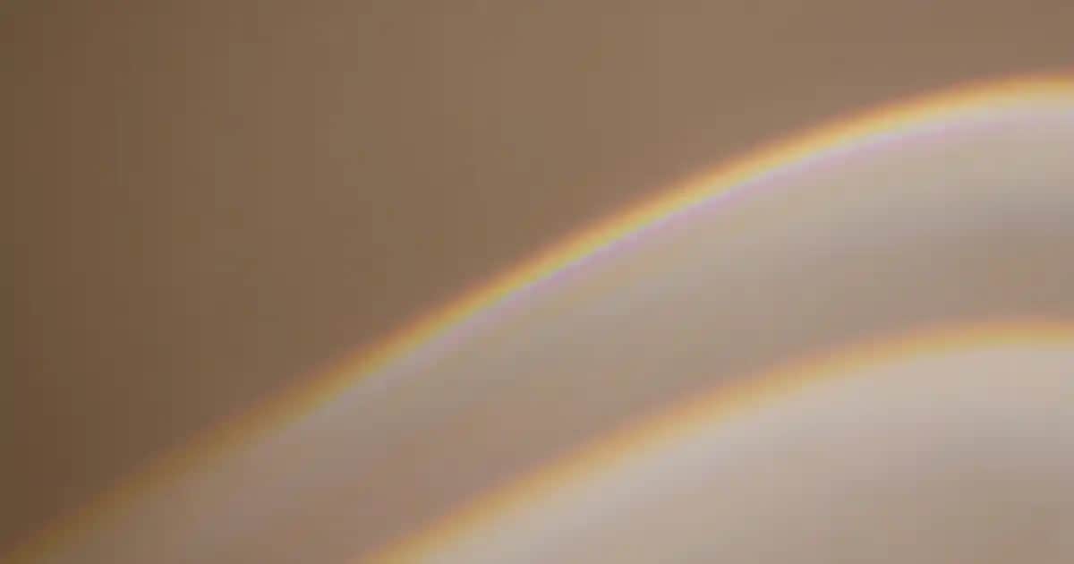 Keçe Malzemeleri ile Dekorasyon ve Mobilya Tasarımında Yenilikçi Yaklaşımlar