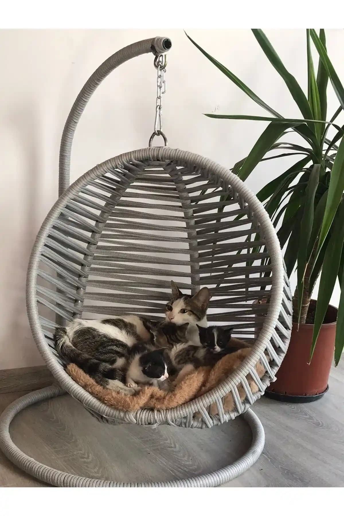 Kedi Hamağı ile Ev Dekorasyonunu Şık ve Konforlu Hale Getirme Rehberi