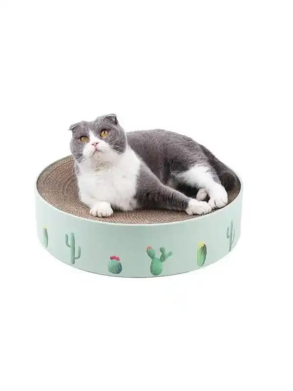 Kedi İçin En Uygun Malzemeler ve Dekorasyon İpuçları