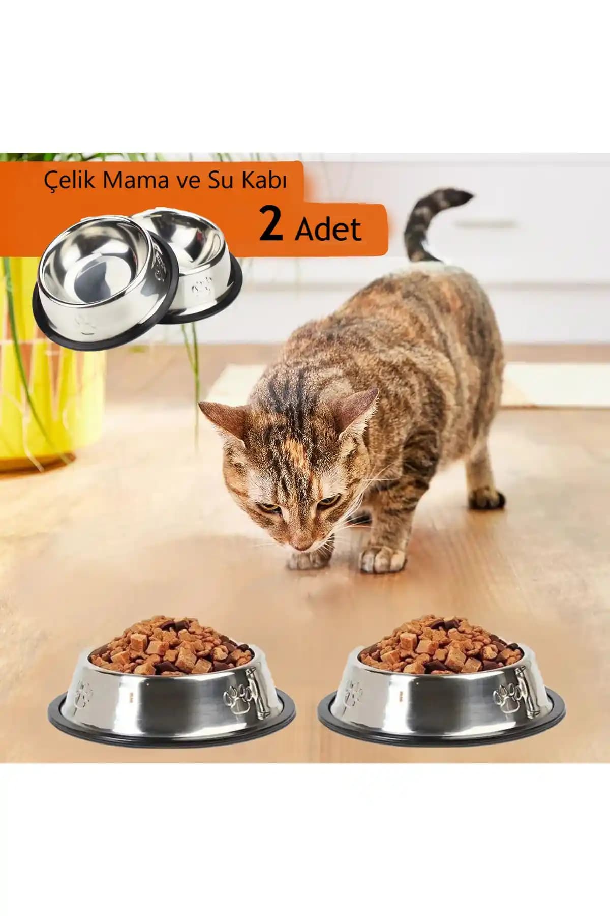 Kedi Mama Kabı Seçenekleri ve Dekorasyonla Uyumlu Tasarım Trendleri