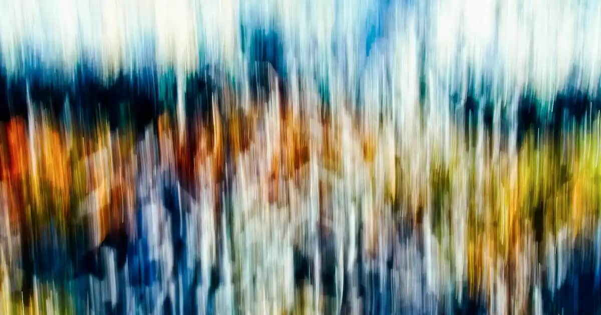 Kedi Tasma ve Dekorasyon Uyumuyla Estetik ve Güvenliği Birleştiren Çözümler