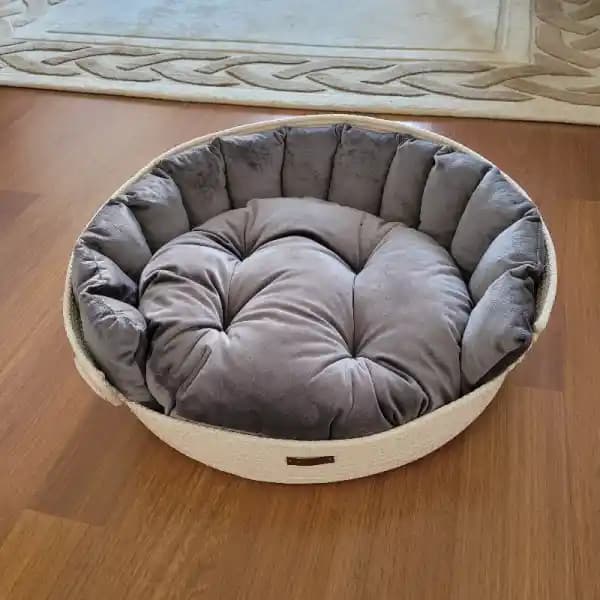 Kedi ve Köpek Yatak Seçenekleri: Konfor ve Dekorasyon Uyumunu Yakalamak