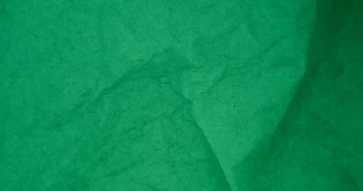 Klozet Vanası Seçimi ve Dekorasyonda Şıklık Sağlayan Detaylar