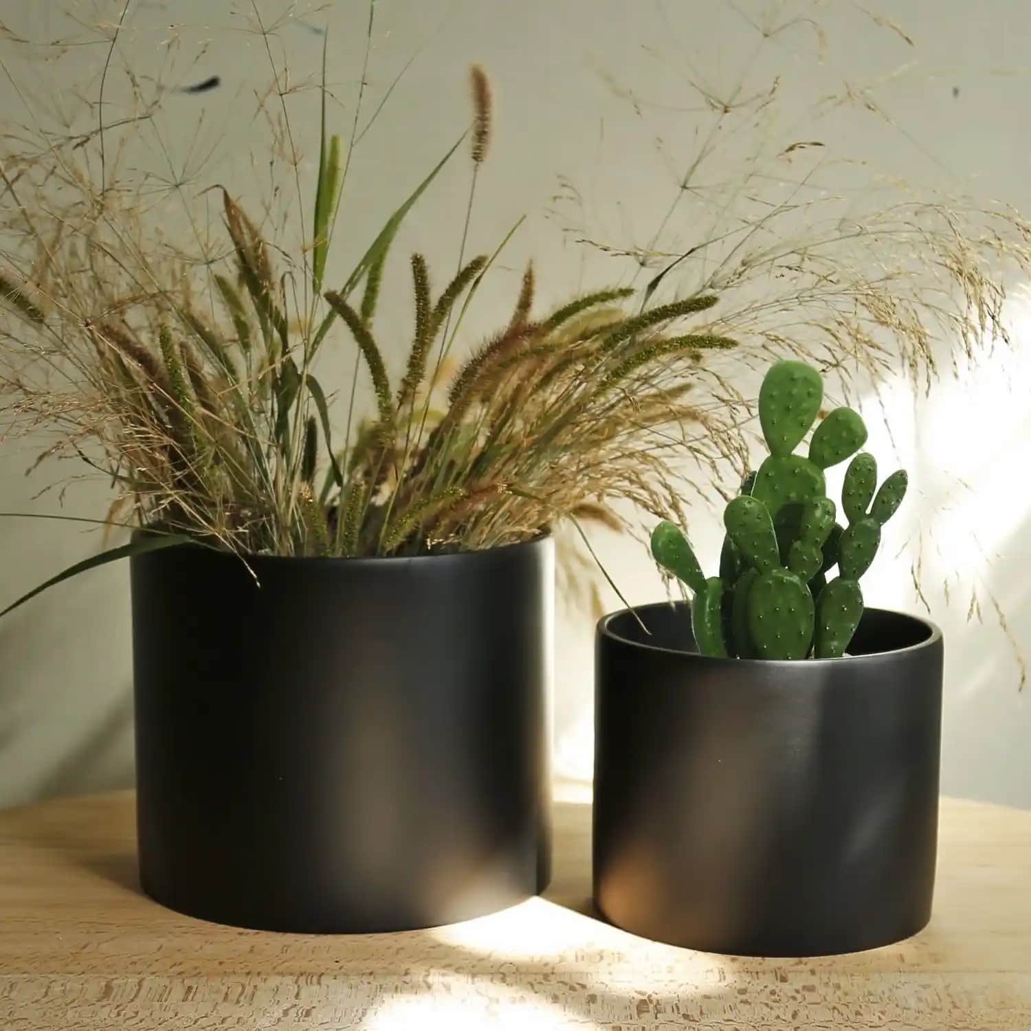 Küçük Saksılarla İç Mekan Dekorasyonunu Canlandırmanın Pratik Yolları