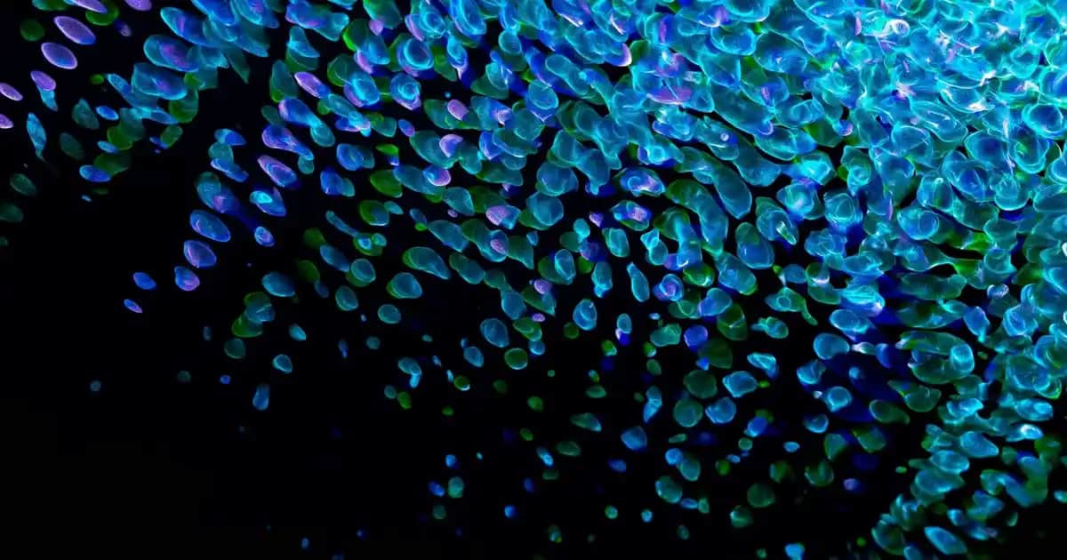 Küllü Kek Tencereleriyle Mutfakta Sıcak ve Rustik Atmosfer Yaratma Rehberi