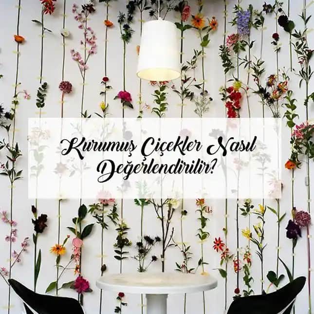 Kuru Çiçeklerle Dekorasyon: Doğal ve Estetik Bir İç Mekan Tasarımı Rehberi