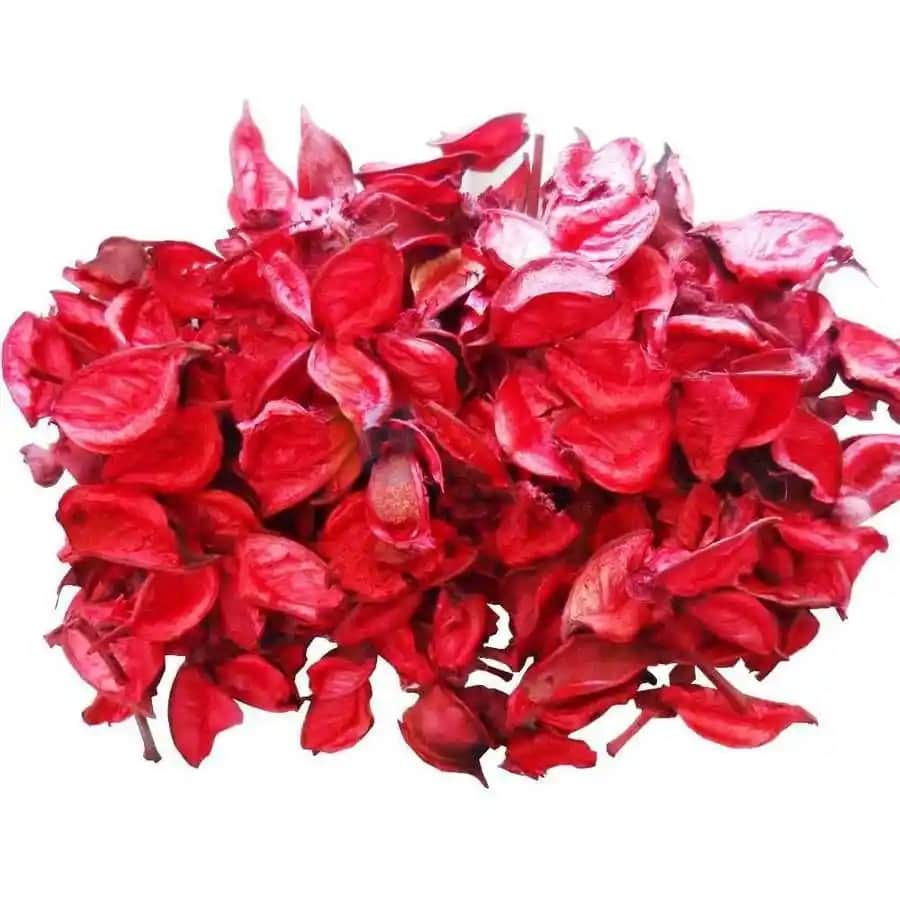 Kuru Gül Dekorasyon Trendleri ve Doğal Şıklık İçin En İyi Kullanım Önerileri