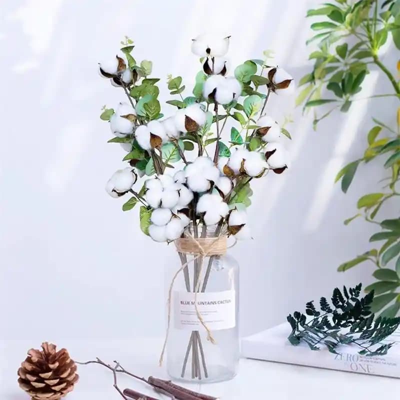 Kuru Pamuk Dalı ile Doğal ve Şık Dekorasyon Fikirleri ve Kullanım İpuçları