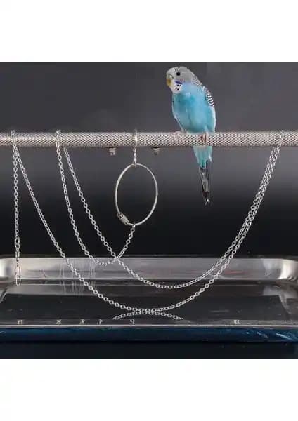 Kuş Aksesuarlarıyla Doğal ve Şık Ev Dekorasyonu İçin İpuçları ve Trendler