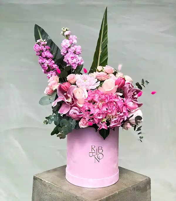 Kutu Çiçekleriyle Dekorasyonda Yenilikçi ve Doğal Dokunuşlar Yapmanın Yolları