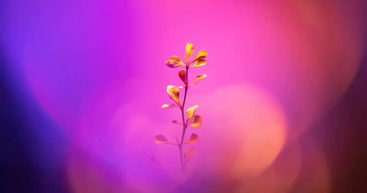 Makina Dolabı Nedir ve Modern Dekorasyonda Pratik Çözümler Sunar