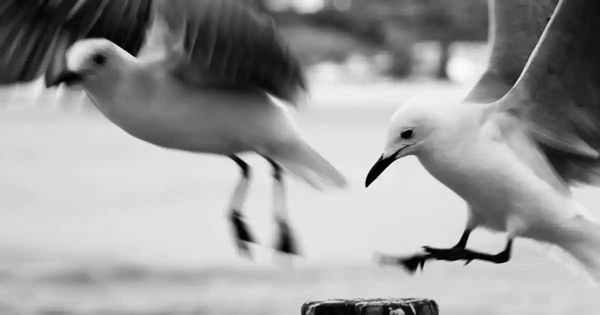 Makrome Duvar Süsleri ile Evinizde Doğal ve Sıcak Atmosfer Yaratın