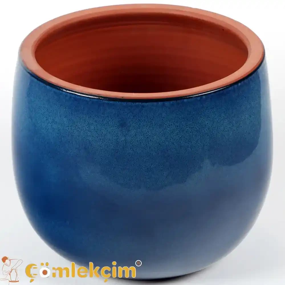 Mavi Saksılarla Dekorasyonda Şıklık ve Doğal Atmosfer Yaratma Rehberi