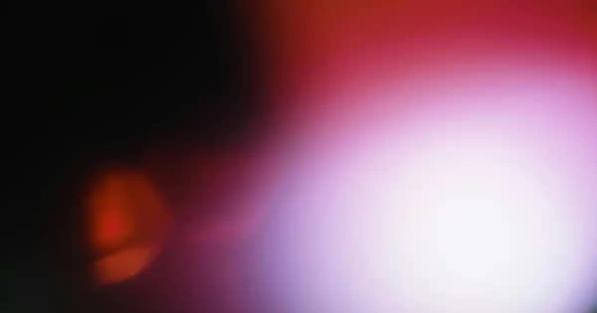 Meşe Yemek Odası Takımı Seçerken Dikkat Edilmesi Gerekenler ve Dekorasyon İpuçları