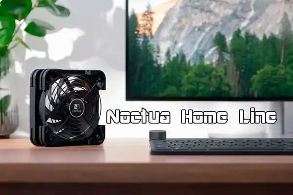 Modern Home Line Dekorasyon ve Mobilya Çözümleriyle Evinizi Yenileyin