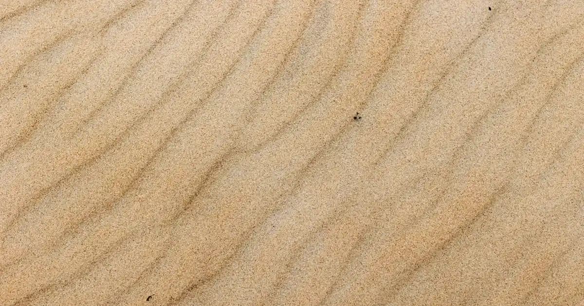 Modern ve Dayanıklı Çelik Tuzluklar: Mutfak Dekorasyonunda Şıklık ve Fonksiyonellik