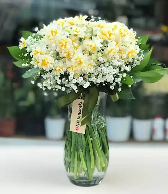 Nergis Çiçeğinin Dekorasyondaki Yeri ve Bakım İpuçları